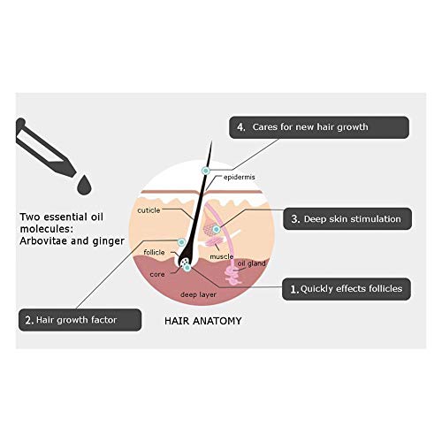 DISAAR BEAUTY Natural Hair Growth Serum Ginger Essential Oil Hair Growth Oil Anti Hair Loss Essence Hair Thinning Treatment Healthy Strong Thick Hair Treats Baldness Weak Brittle Thinning Hair