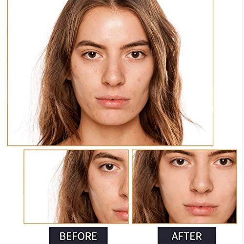 DISAAR BEAUTY Foundation Make-Up Cover Creamy Concealer Waterproof SPF30 Hypoallergenic Whitening 30g