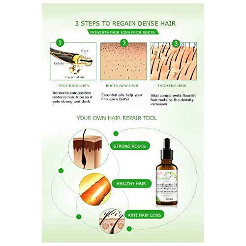 DISAAR BEAUTY Hair Growth Essential Oil Natural Plant Dry Growth Essence Anti Hair Loss Scalp Treatments Genseng Raise Dense 30g