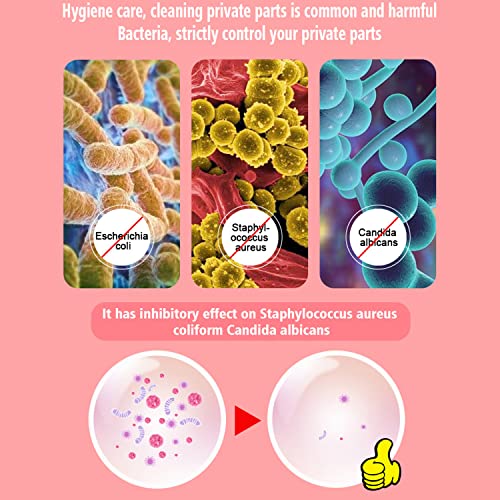 AICHUN BEAUTY Wash Foam Ultra Gently Cleaning Sterilization Vaginal PH Balanced Women's Private Parts Removing Odor 100ml / 3.38fl.oz