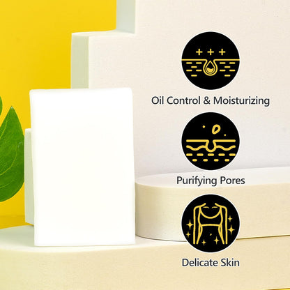 DISAAR Beauty Snail Mucin Soap Purifying Pores Oil Control 100g