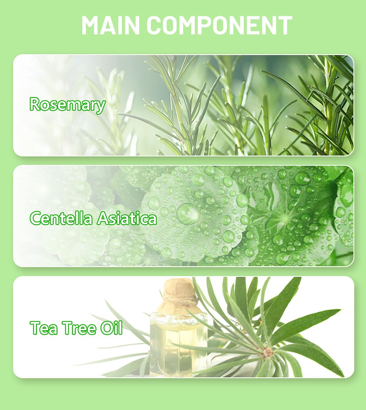 DISAAR BEAUTY Rosemary Centella Facial Serum Water-Oil Balance 30ml